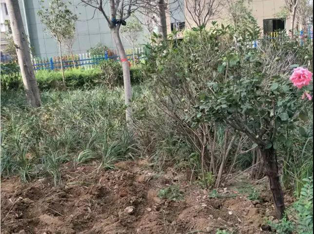 &#75;&#97;&#105;&#121;&#117;&#110;&#45;&#20013;&#22269;&#65288;&#23448;&#26041;&#32593;&#31449;&#65289;&#45;&#22269;&#23478;&#35748;&#35777;&#26381;&#21153;&#24179;&#21488;