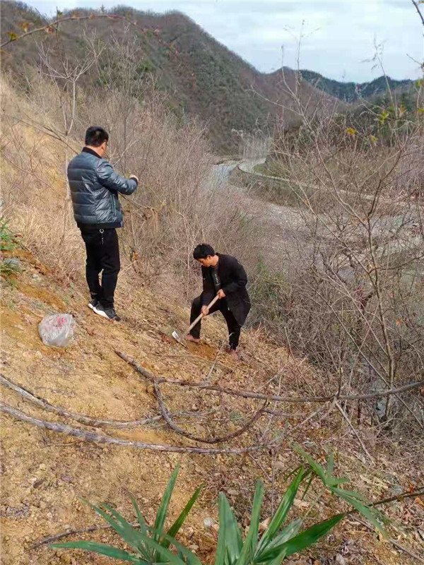 &#75;&#97;&#105;&#121;&#117;&#110;&#45;&#20013;&#22269;&#65288;&#23448;&#26041;&#32593;&#31449;&#65289;&#45;&#22269;&#23478;&#35748;&#35777;&#26381;&#21153;&#24179;&#21488;